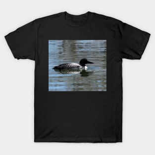 Loon searching for food T-Shirt